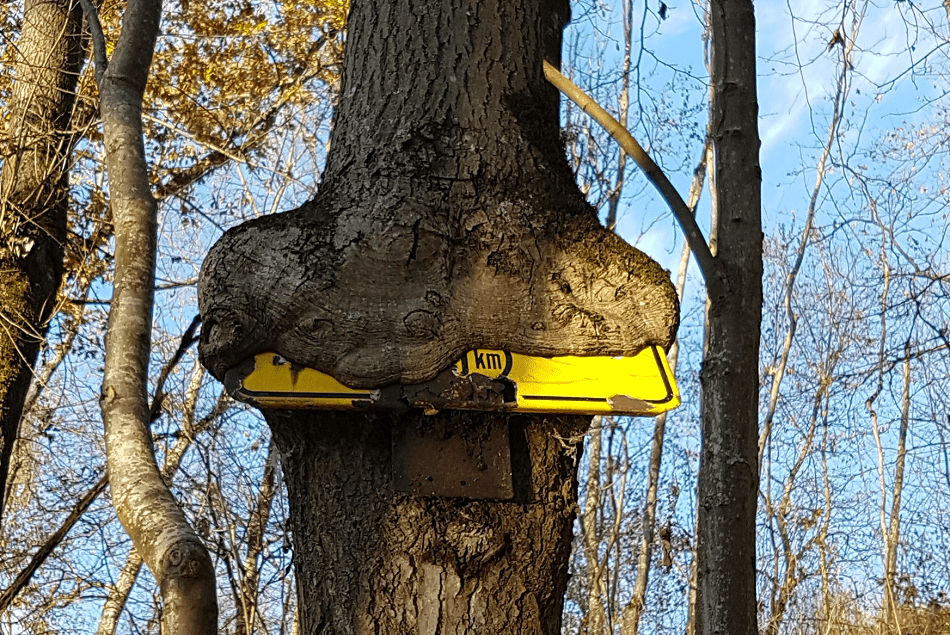 Was für ein toller Herbst