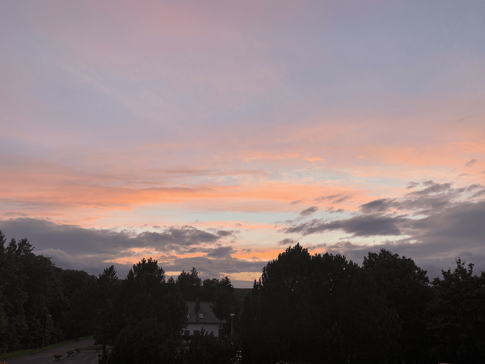 Abend im Thüringer Wald