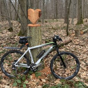 MTB im Wald