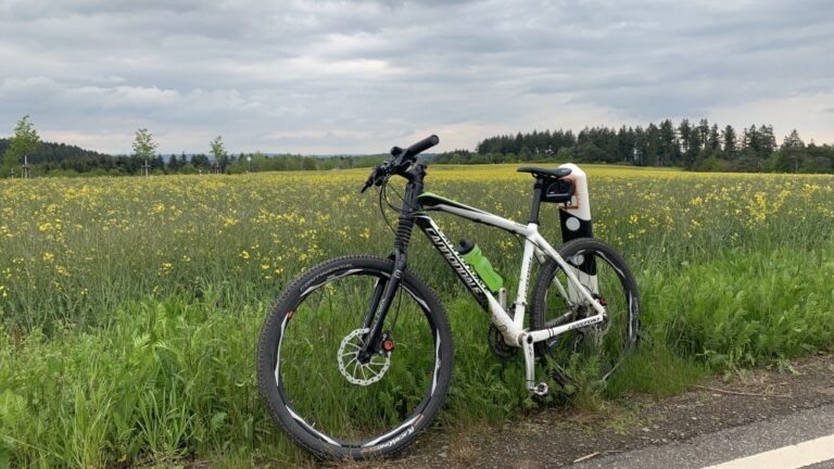 Trainingsrückstand