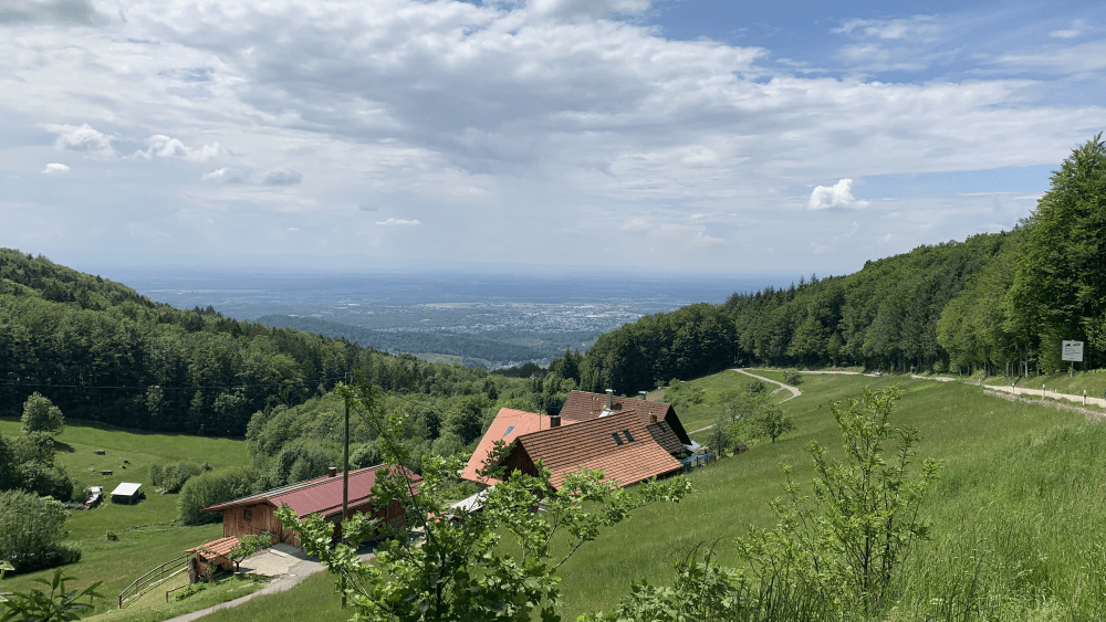 Schwarzwald