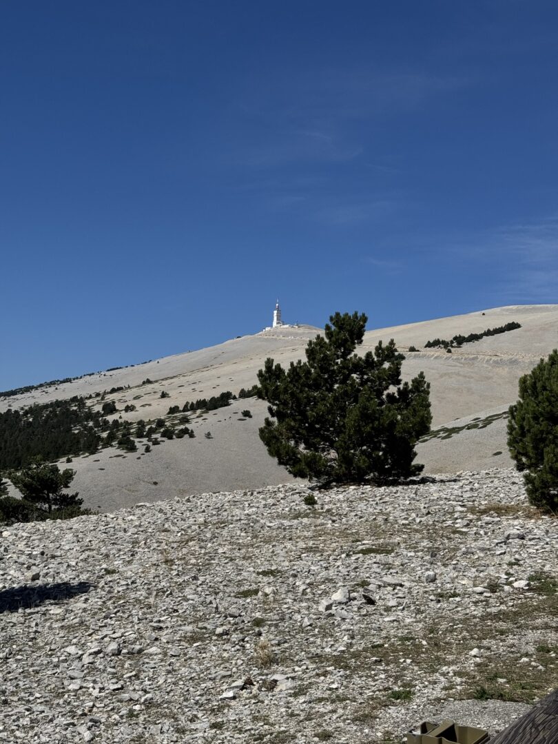 Blick nach dem Waldstück