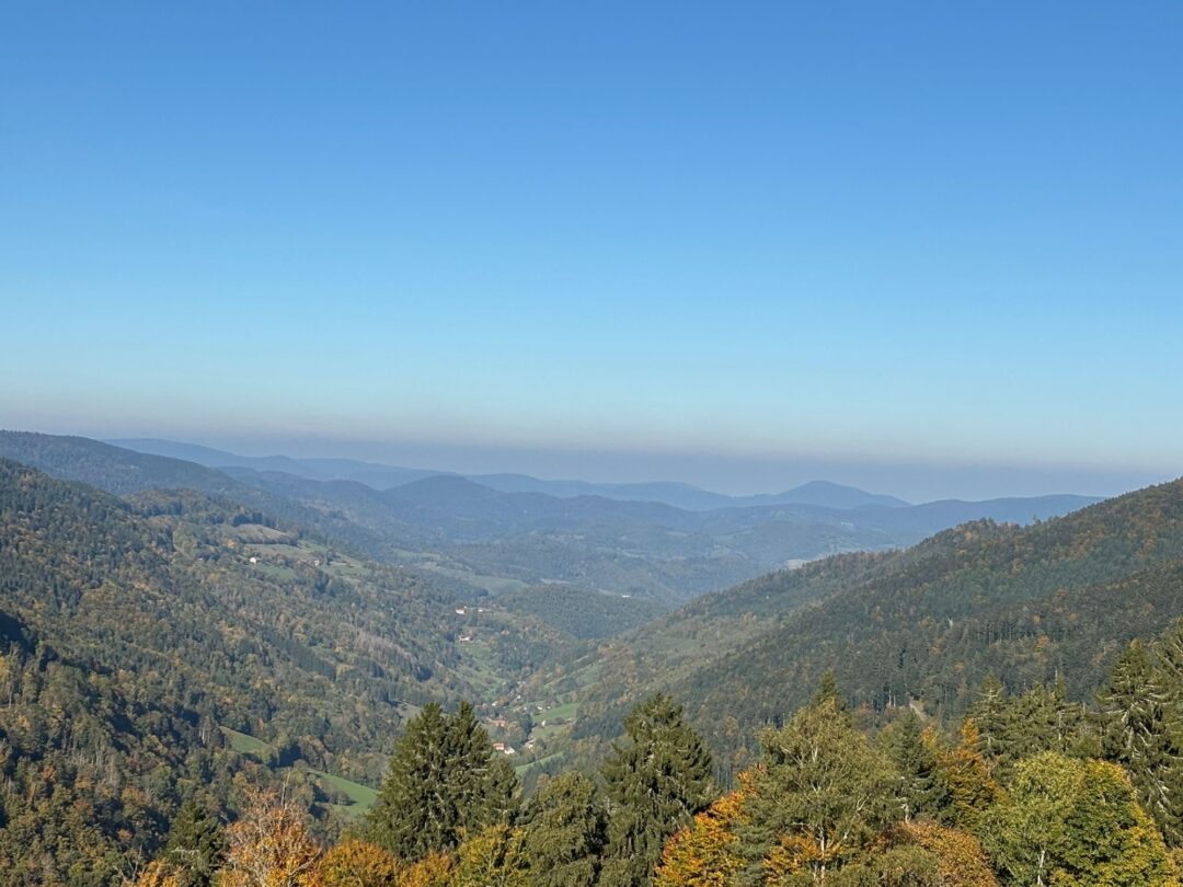 Blick ins Elsass